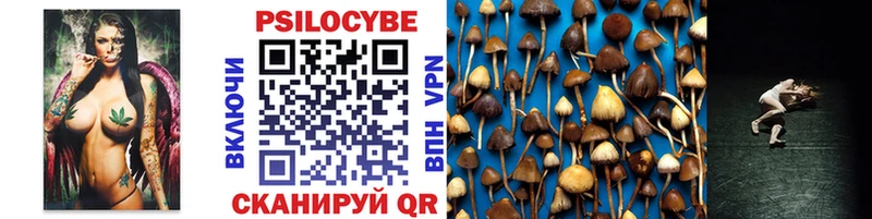 дарнет шоп  Галич  Псилоцибиновые грибы Psilocybine cubensis 